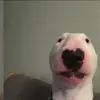 liam - @liam.simpson30 - TikTok