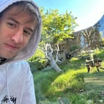Liam Stark - @liamstark1324 - Instagram