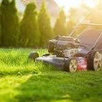 Liam O’Donnell and Luke Swanson - @lawn_and_pet_care_services - Instagram