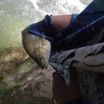 Liam Swanson - @liam_swan3 - Instagram