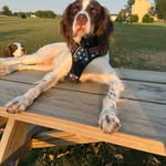 Rebel Liam Swanson - @rebel_liam_swanson - Instagram