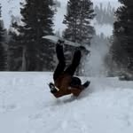 Liam Tracy - @liam_de_gros_butin - Instagram