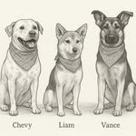 Chevy, Liam, Vance ( Boots RIP) - @chevyandbootsshow - Instagram