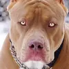 Liam Vasquez - @liam.vasquez284 - TikTok