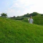 Liam Wall - @wall_liam - Instagram