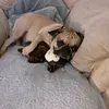 Liam Wall - @liam.wall1 - TikTok