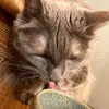 Liam - @liam.walter611 - TikTok