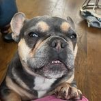 Liam Ward - Facebook