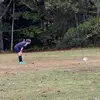 Liamward2 - @lgw0811 - TikTok
