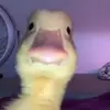 liamthogmann69420 - @liamware4 - TikTok