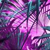 Liam Webster403 - @liamwebster403 - TikTok