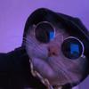 Liam_wheeler - @liam_wheeler - TikTok