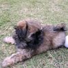 liam.wheeler - @liam.wheeler - TikTok