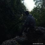 Lian Ding Lian Ding - Facebook