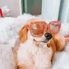 ⚡️☀︎︎ꜰᴏʟʟᴏᴡ ᴍᴇ!••🧚🏻‍♀️ - @liana..goodstyle - TikTok