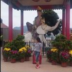 Liana Lin - Facebook