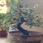 梁國修 - @liang_guo_xiu - Instagram
