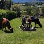 Libardo Mesa - @libardo6890 - Instagram