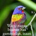 Birhanu Ligaba - Facebook