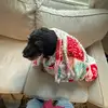 Libby baldwin - @libby.baldwin0 - TikTok