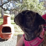 Libby Ballard - @libballard1 - Instagram
