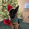 Libby Barnett482 - @libby_barnett129 - TikTok
