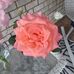 Libby Barrow - Facebook