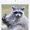libbybeard159 - @libbybeard151 - TikTok