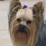 Libby Beasley - Facebook