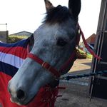 Libby - @libby.benton05 - Instagram