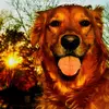 LibbySueBenton - @libbysuebenton - TikTok