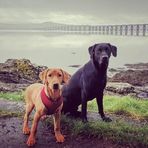 Libby Blake - Facebook