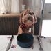Libby Bowers - Facebook
