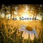 Libby Bowers Combs - @libbybowerscombs - Instagram