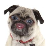 Libby Bryant - @libbybryant2005 - Instagram