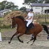 Libby Bryant💫 - @libbyb.showjumper1 - TikTok