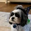 Libby - @libby_campbell - TikTok