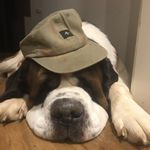 Libby Coleman - @libby.coleman.10 - Instagram