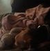 Libby Collier - Facebook