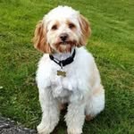 Libby Couch New - @couchnew - Instagram