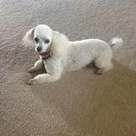 Libby Covington - @libbycov - Instagram