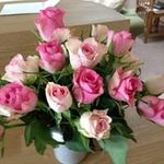 Libby Covington - @covington501 - Instagram