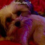 Libby Duke - @misslibby712021 - Instagram