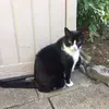Libby Dunn - @libby.dunn79 - TikTok