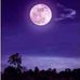 Farhan Labbi - Facebook