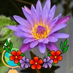 Libby Ford - Facebook