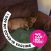 Libby Green - Facebook