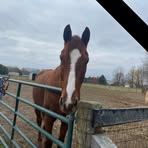 Libby Gross - Facebook