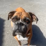 Libby Hanley - @hanleylibby - Instagram