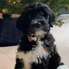 libbyhansonwistro - @libbyhansonwistro - TikTok